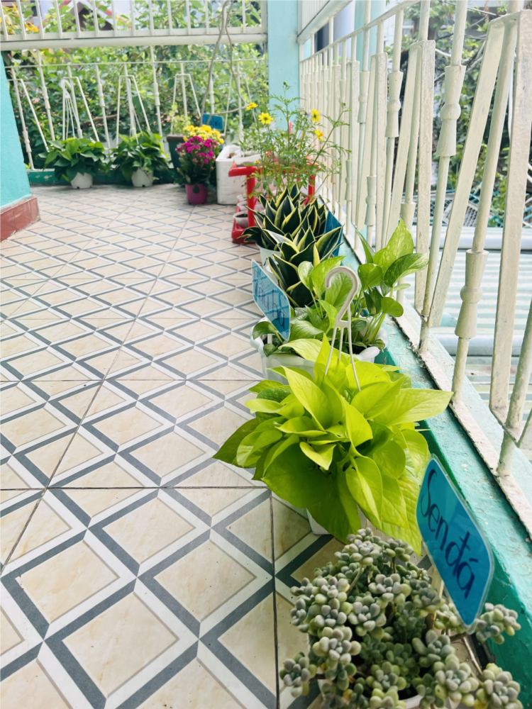 VƯỜN CÂY CỦA BÉ.jpg